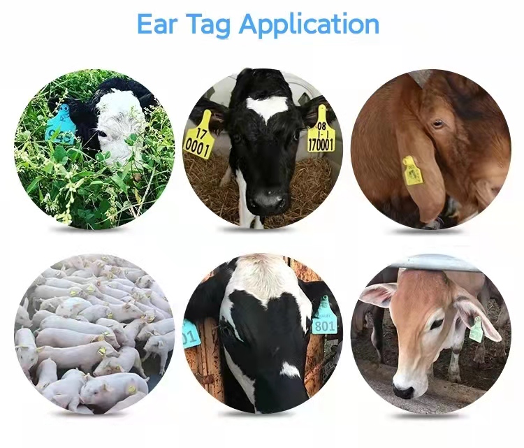 etiqueta de orelha para gado