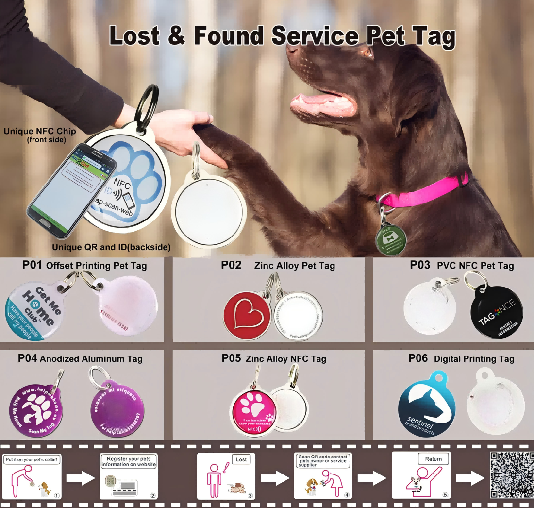 lost found service pet tag