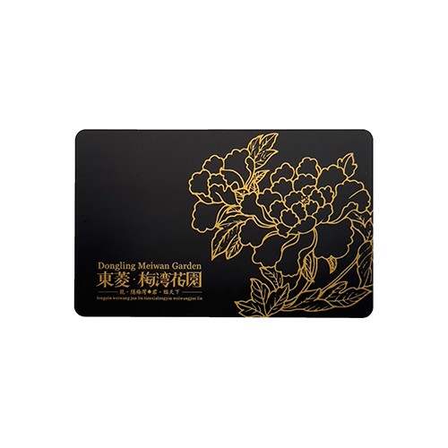 Cartão de Membro do Upscale Plastic Club