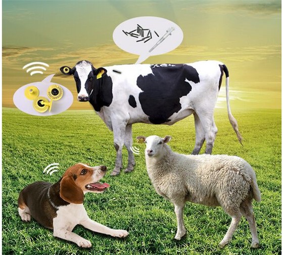 Sistema de rastreabilidade de alimentos para animais Solução RFID - Etiqueta auricular RFID para animais