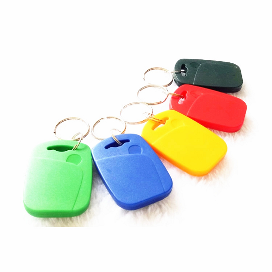 Chaveiro RFID de dupla frequência de 125 kHz + 13,56 mhz