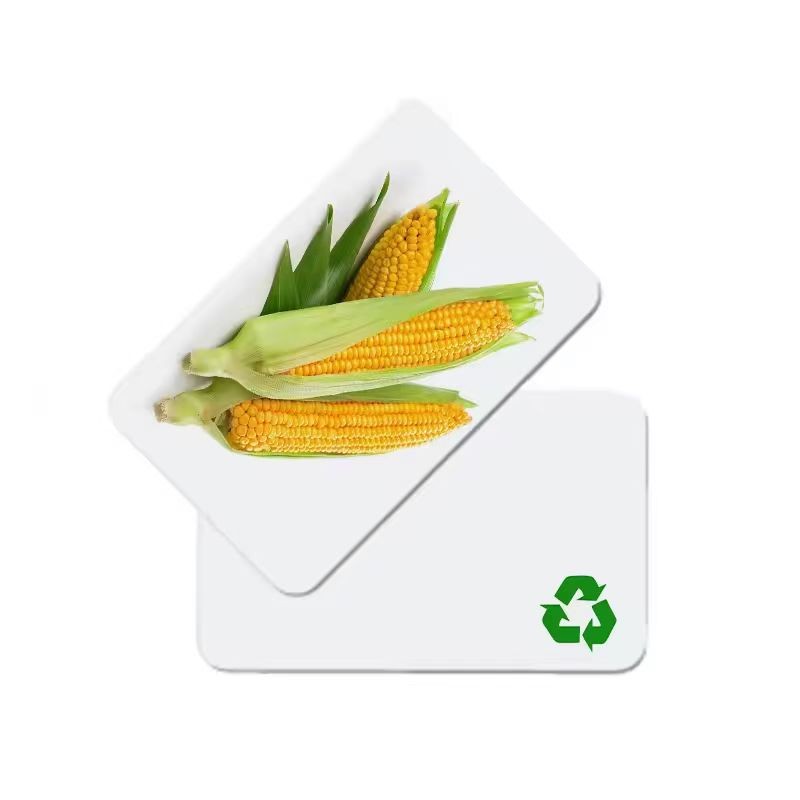 Cartão branco em branco de alta qualidade PLA ecológico com chip FMR11F08, impressão personalizada de fábrica