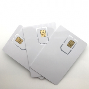 Cartão SIM em branco plástico
