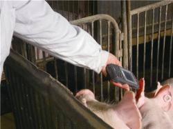 Pesquisa sobre a Aplicação da Tecnologia RFID na Plataforma de Rastreabilidade da Segurança Alimentar
